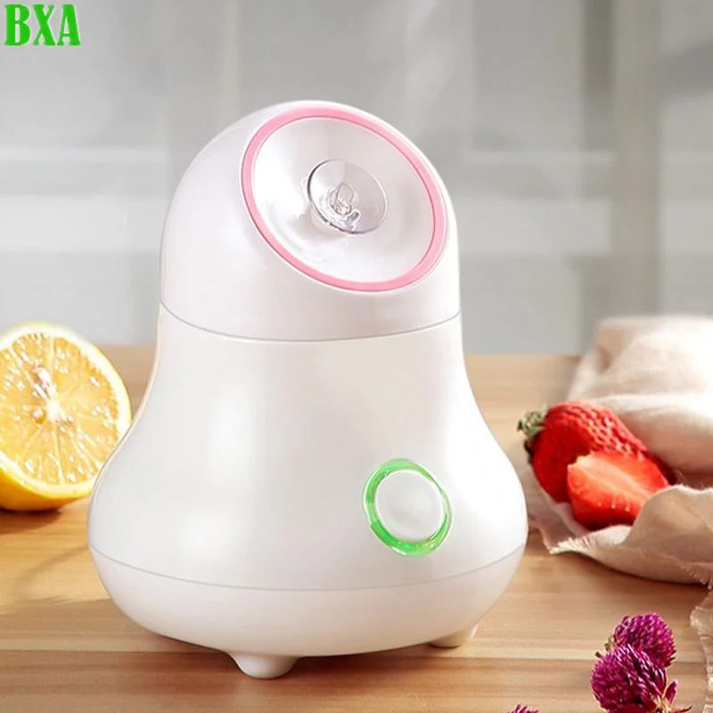 Facial Steamer Nano - Vapore facciale per frutta e verdura